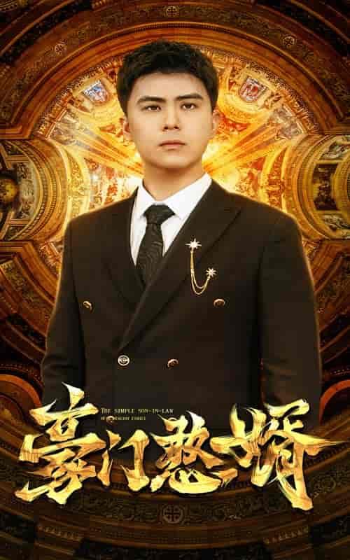 豪门憨婿（61集）-紫橙资源网