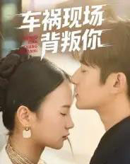 车祸现场背叛你（37集全）高广泽＆芊翊-紫橙资源网