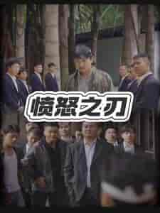 愤怒之刃（35集全）-紫橙资源网