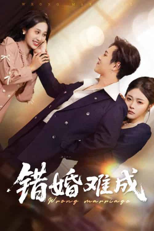 错婚难成（45集全）彭程＆武鸿蕊-紫橙资源网