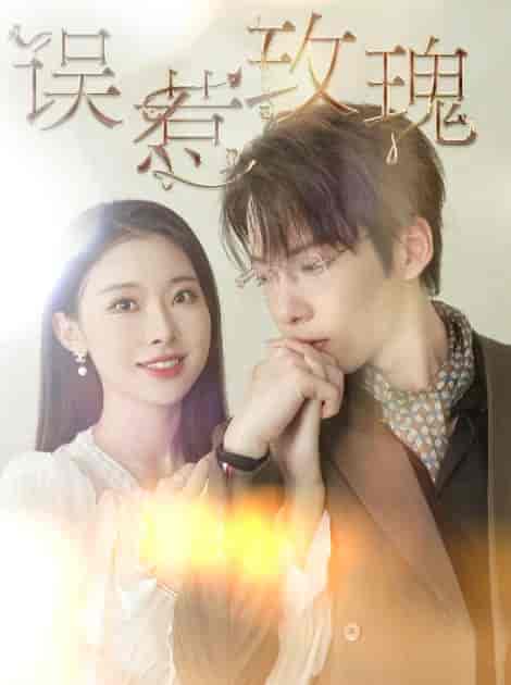 误惹玫瑰（66集全）张乃歌＆袁祎晴-紫橙资源网