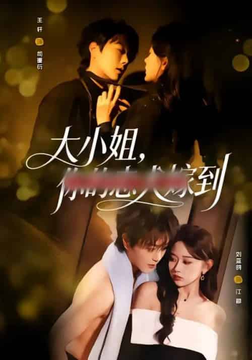 大小姐,你的忠犬嫁到(80集全)王轩&刘蓝鸽-紫橙资源网