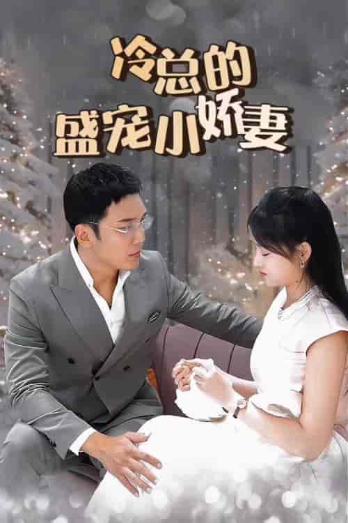 冷总的盛宠小娇妻（80集）-紫橙资源网