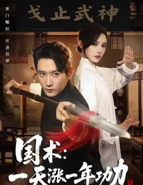 国术，一天涨一年功力（66集全）江宇顺＆刘金妍-紫橙资源网