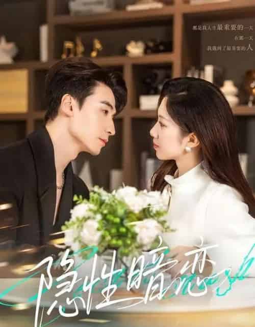 隐性暗恋（100集全）黄鑫辉＆沈婉婷-紫橙资源网