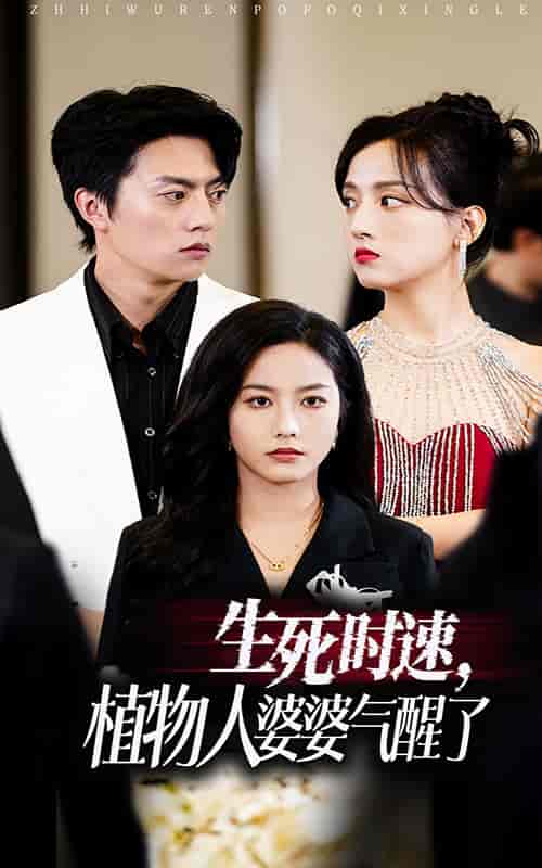 生死时速植物人婆婆气醒了（37集全）-紫橙资源网