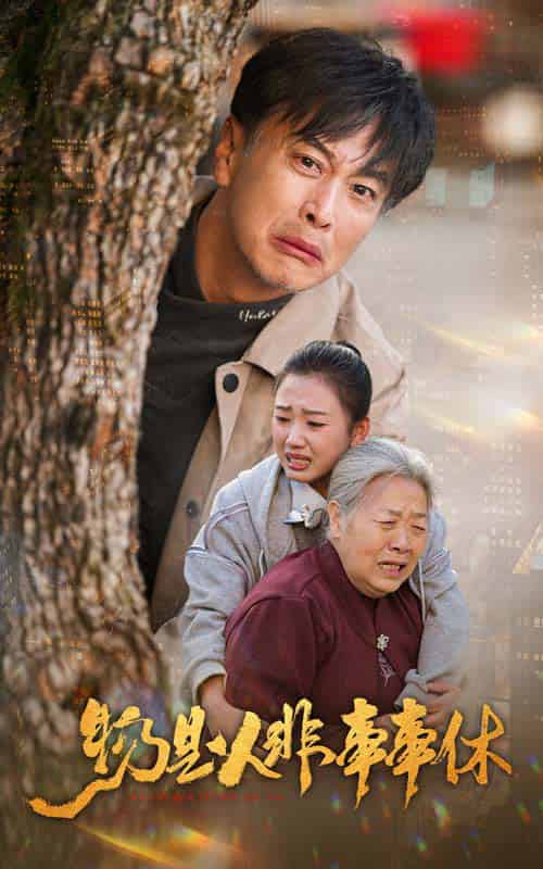 物是人非事事休（41集全）-紫橙资源网