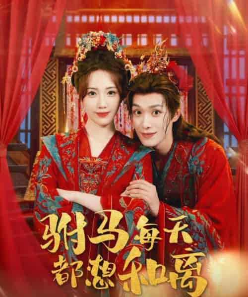 驸马每天都想和离（80集全）宋佩泽＆徐东艺-紫橙资源网