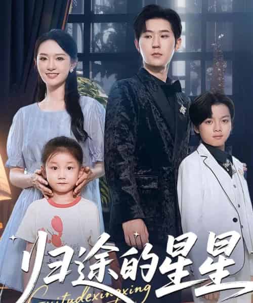 归途的星星（100集全）李河源＆任娄怡-紫橙资源网