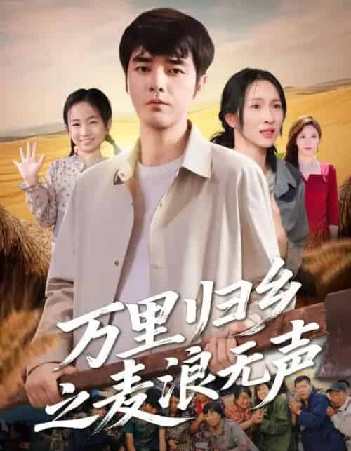 万里归乡之麦浪无声（61集全）朱碧漪＆董星辰-紫橙资源网