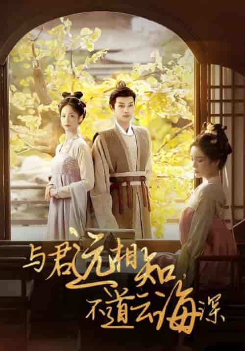 与君远相知，不道云海深（30集全）顾云峥＆沈凝-紫橙资源网