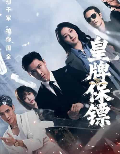 皇牌保镖（66集全）蒋亚兰＆许安泰＆丘子健-紫橙资源网