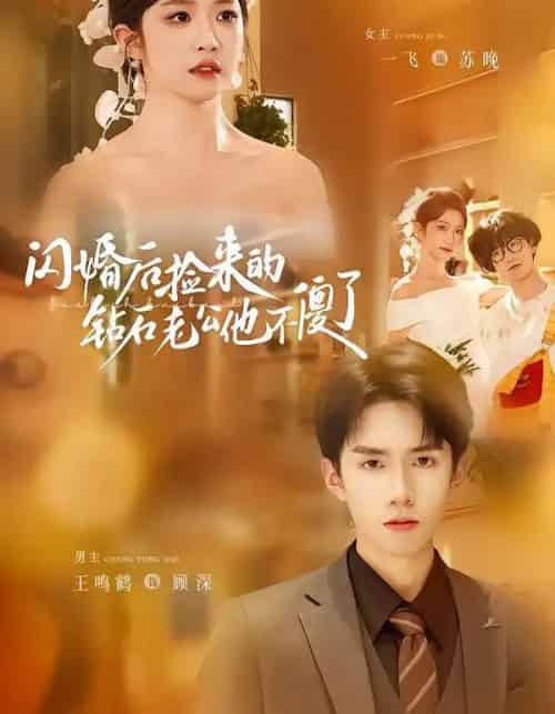 闪婚后捡来的钻石老公他不傻了（85集全）王鸣鹤＆一飞-紫橙资源网