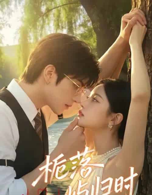 栀落屿归时（53集全）AI-紫橙资源网