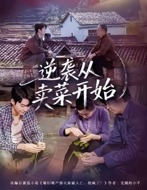 逆袭从卖菜开始（72集全）安嘉欣＆刘子轩-紫橙资源网