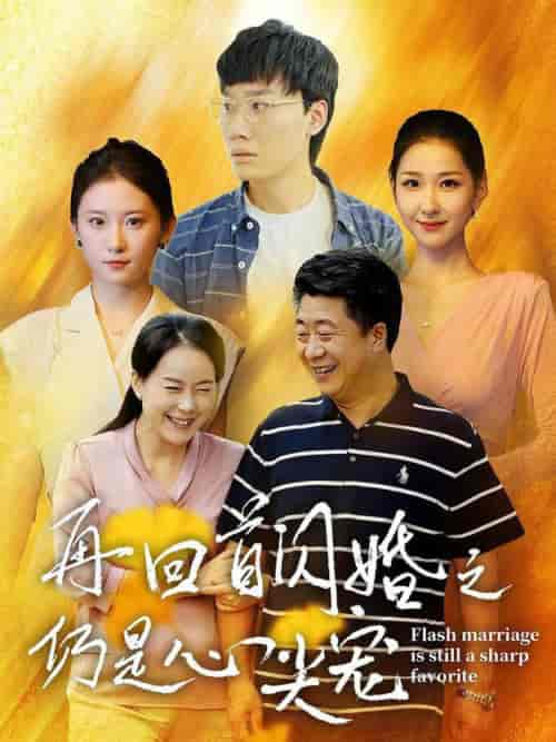 再回首闪婚之仍是心尖宠（36集全）-紫橙资源网