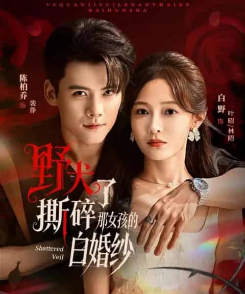 野犬撕碎了那女孩的白婚纱（78集全）陈刚＆白野-紫橙资源网