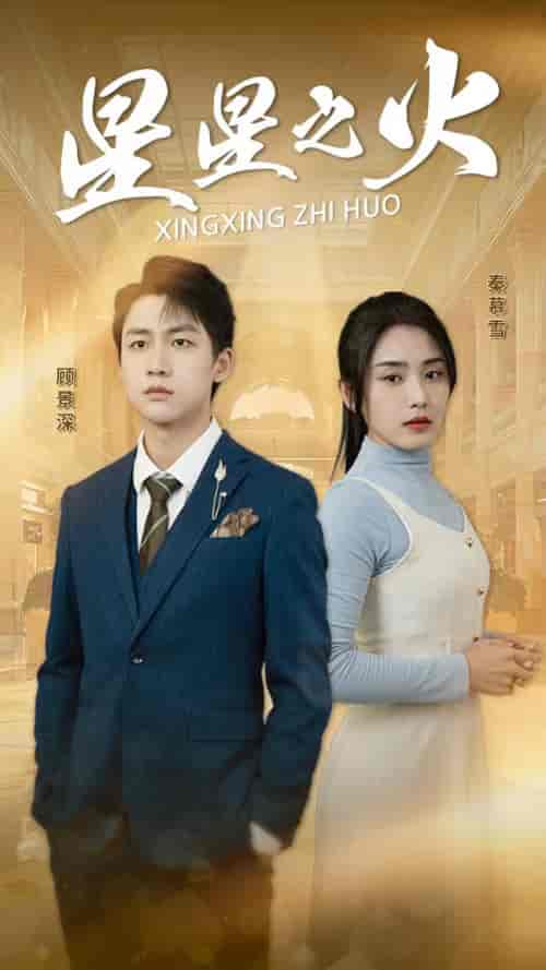 星星之火(32集)宋暖-紫橙资源网