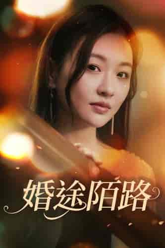 婚途陌路(15集)-紫橙资源网