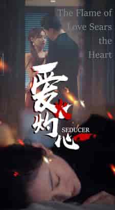 爱火灼心(99集)-紫橙资源网