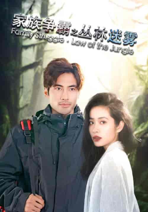 家族争霸之丛林迷雾（55集全）凌风＆陈欣妍-紫橙资源网