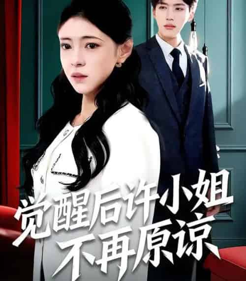 觉醒后许小姐不再原谅(102集全)何玘薇&龙琛-紫橙资源网