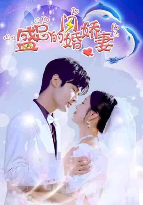 盛总的闪婚娇妻（97集）-紫橙资源网