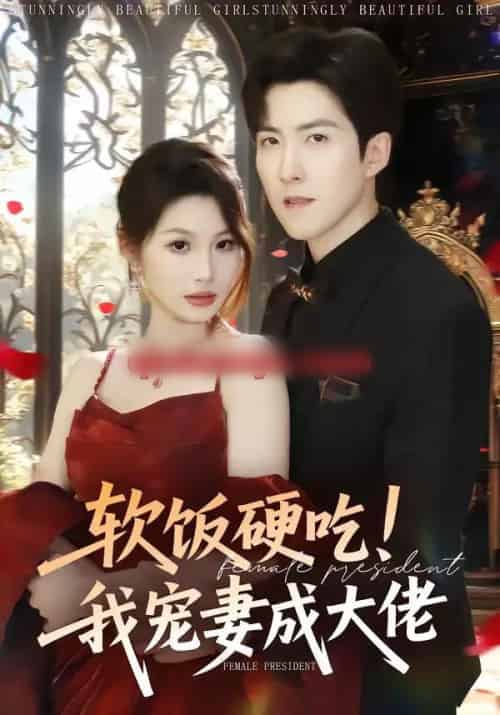 软饭硬吃！我宠妻成大佬（80集全）赵阿东＆黄盈-紫橙资源网