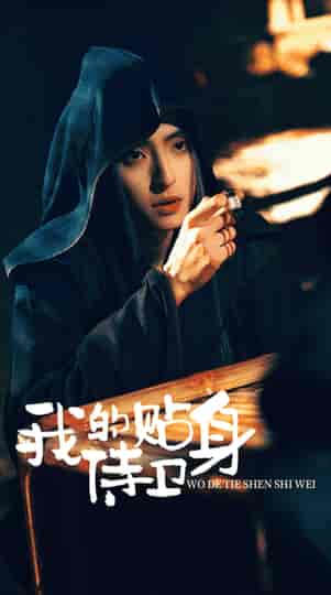 我的贴身侍卫（74集）-紫橙资源网