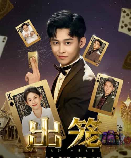 出笼（60集）丁磊＆侯雨彤＆刘凡-紫橙资源网