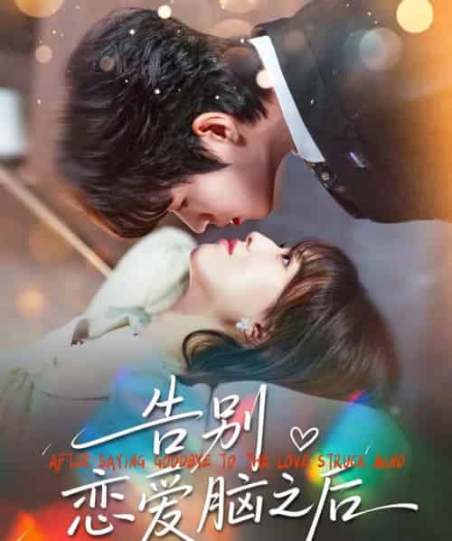 告别恋爱脑之后（60集全）曹渊＆陈俊羽-紫橙资源网