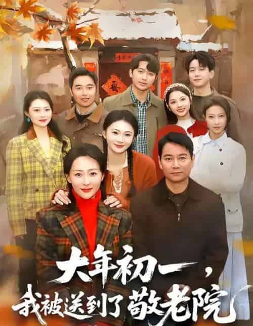大年初一，我被送到了敬老院（60集全）邬倩＆彭振中-紫橙资源网