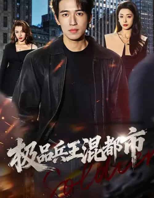 极品兵王混都市（72集全）邹佳欣＆钟远哲-紫橙资源网