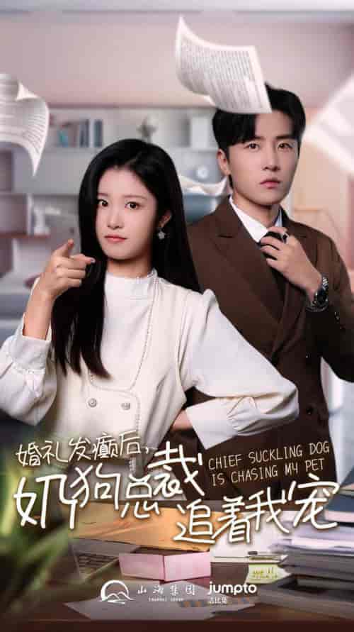 婚礼发癫后奶狗总裁追着我宠（80集全）-紫橙资源网