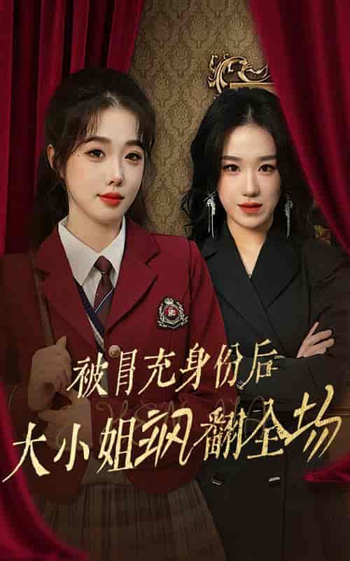 被冒充身份后大小姐飒翻全场（35集全）墨凝-紫橙资源网