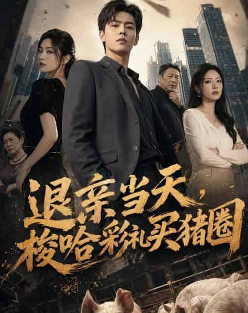 退亲当天,梭哈彩礼买猪圈(43集全)AI-紫橙资源网