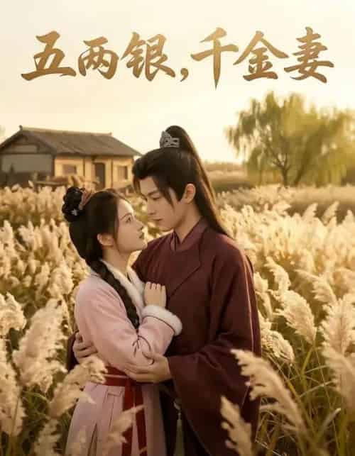 五两银，千金妻（60集全）AI-紫橙资源网