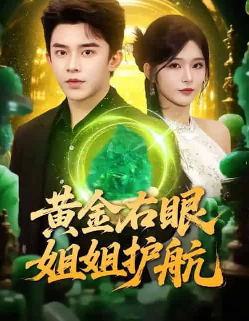 黄金右眼，姐姐护航（81集全）杨妍＆委佳宇-紫橙资源网