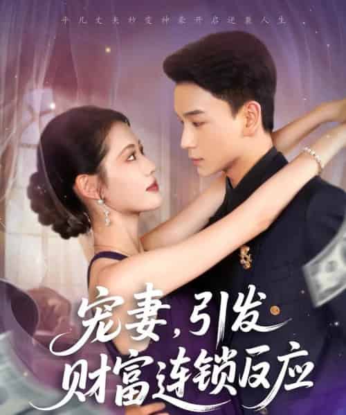 宠妻，引发财富连锁的反应＆宠妻引发财富连锁的反应（80集）范高坡＆董洁-紫橙资源网