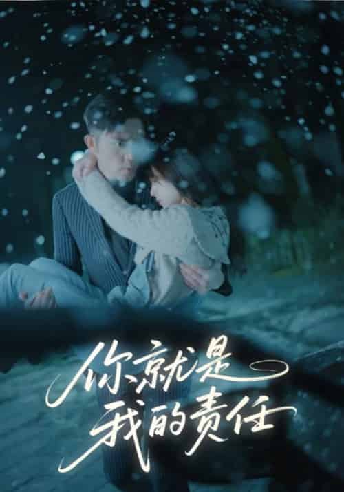 你就是我的责任（15集全）商司湛＆时浅-紫橙资源网