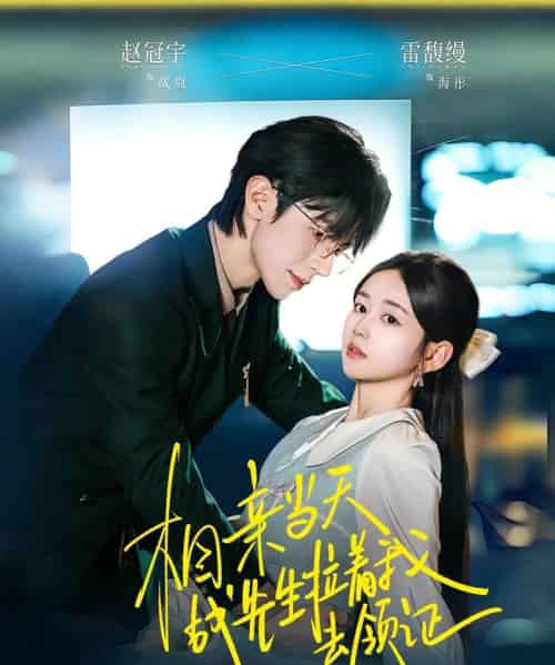 相亲当天战先生拉着我去领证(60集全)赵冠宇&雷馥缦-紫橙资源网