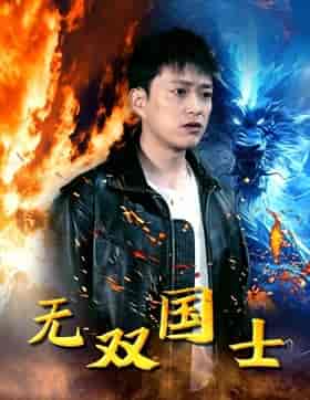无双国士（96集）-紫橙资源网