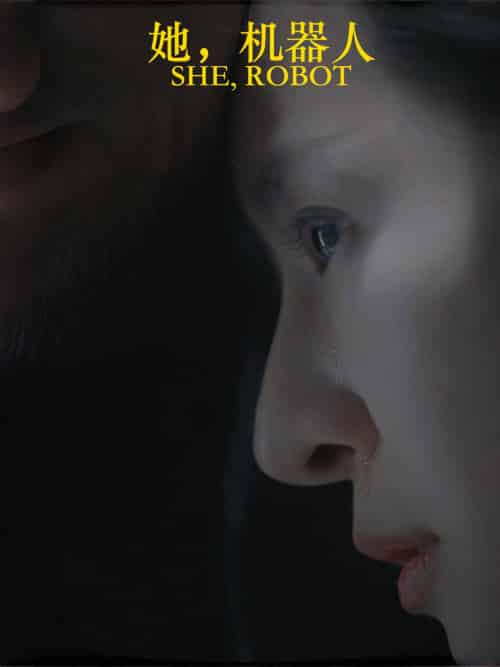 她，机器人（23集全）-紫橙资源网