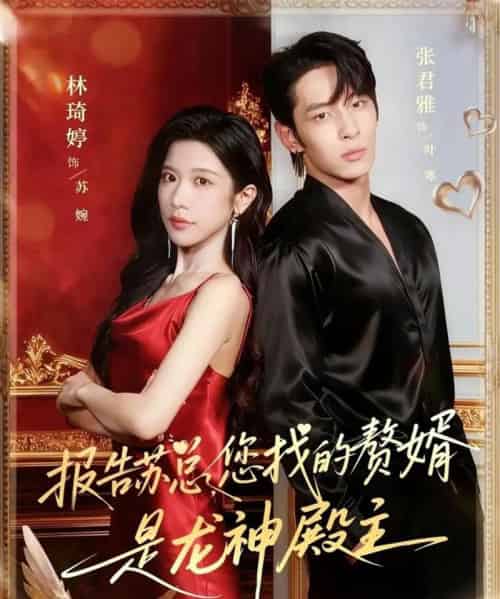 报告苏总，您找的赞婿是龙神殿主（72集全）张君雅＆林琦婷-紫橙资源网