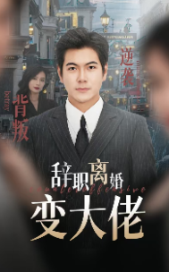 辞职离婚变大佬（30集全）-紫橙资源网