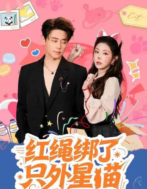 红绳绑了只外星喵（59集全）尹一博＆李逸璇-紫橙资源网