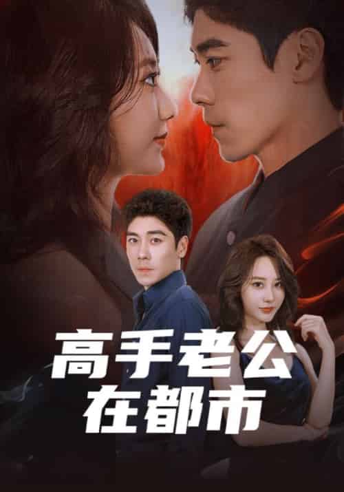高手老公在都市（75集全）林辰＆顾悦兮-紫橙资源网