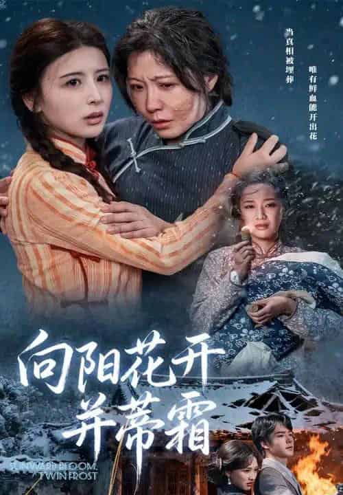 向阳花开并蒂霜（60集全）燕颢元＆李沁霏-紫橙资源网