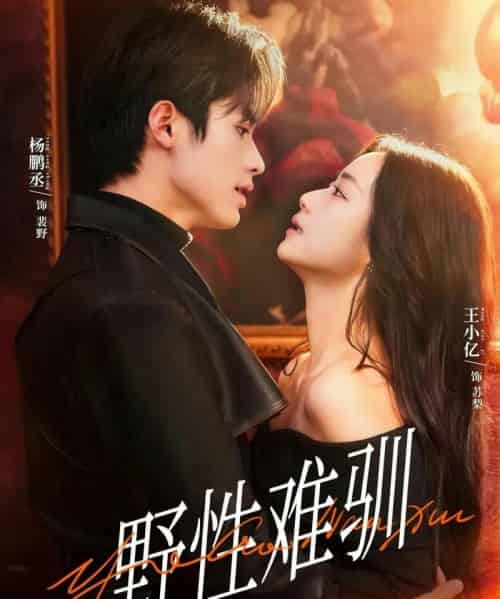 野性难驯&驯野2(81集全)杨鹏丞&王小亿&张旋&刘宇航&刘夕语-紫橙资源网