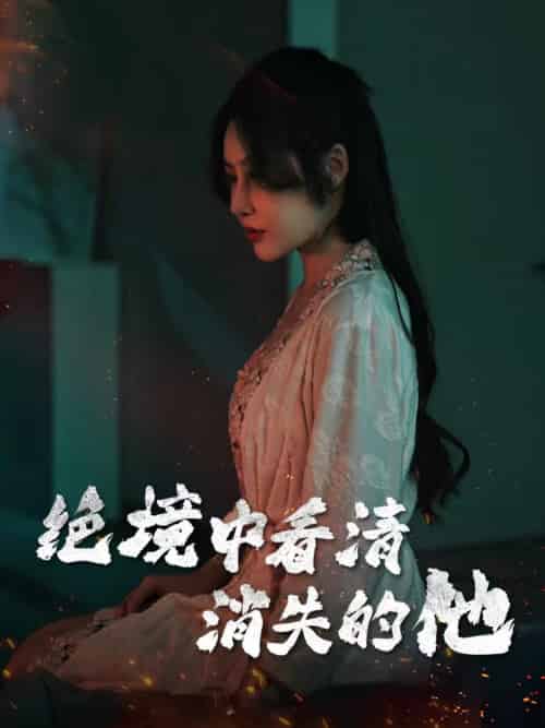 绝境中看清消失的他（31集全）赵学茹-紫橙资源网